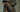 Supreme 26